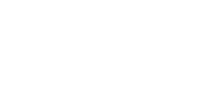 Wild Emerald - Ireland Elopement Planners