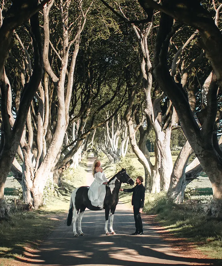 The Dark Hedges in Northern Ireland